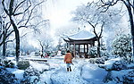 景观PSD 雪景 园林景观