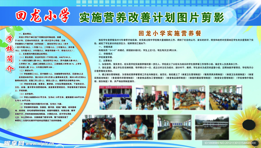 中小学营养展板