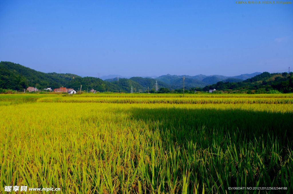 山水风景 田园风光