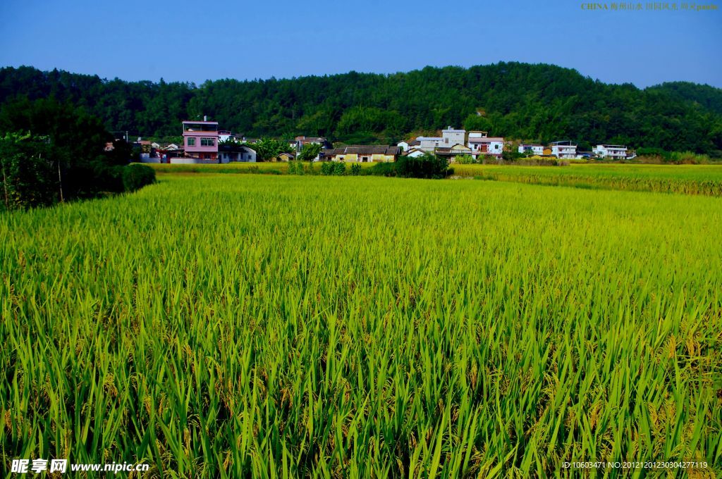 山水风景 田园风光