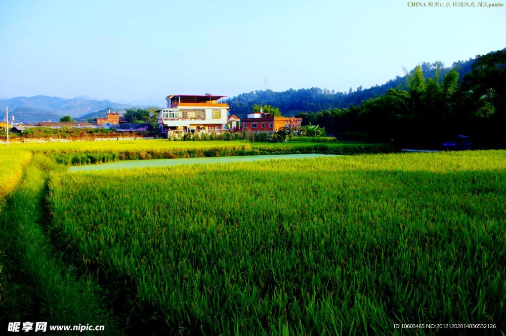 山水 田园风光