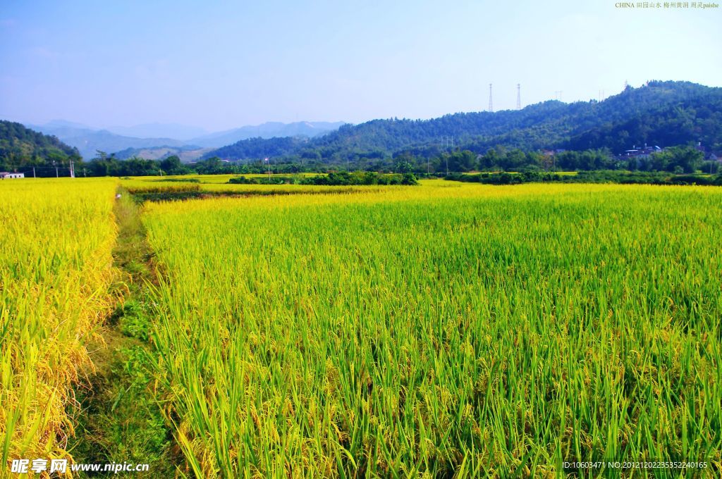 山水风景 田园风光