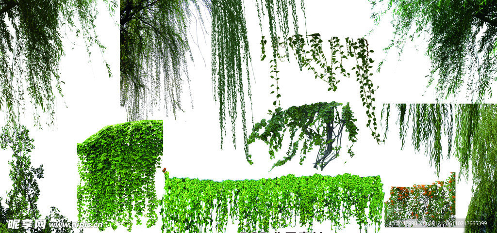 绿化素材