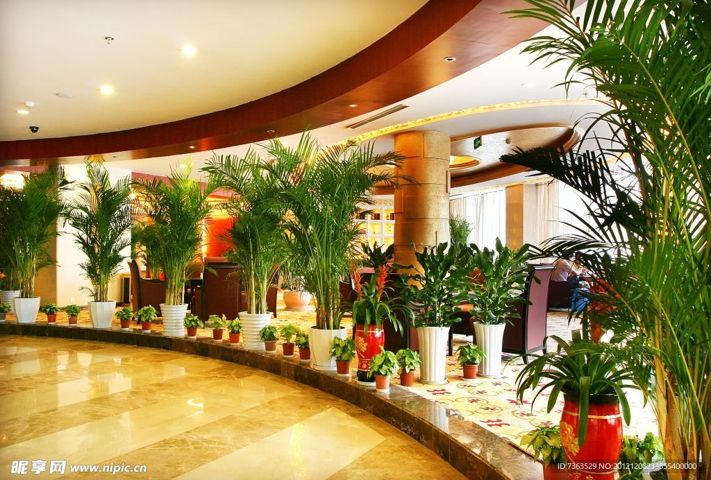 豪华酒店（非高清）