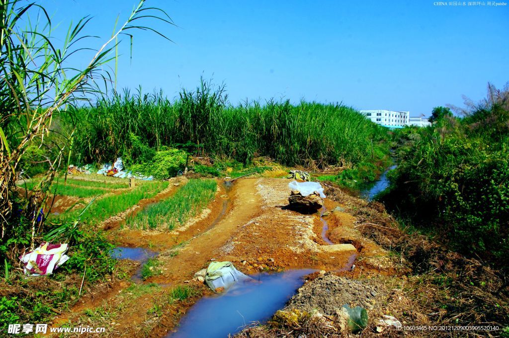 城市角落 农地风景