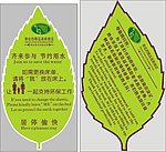 维也纳酒店叶子卡