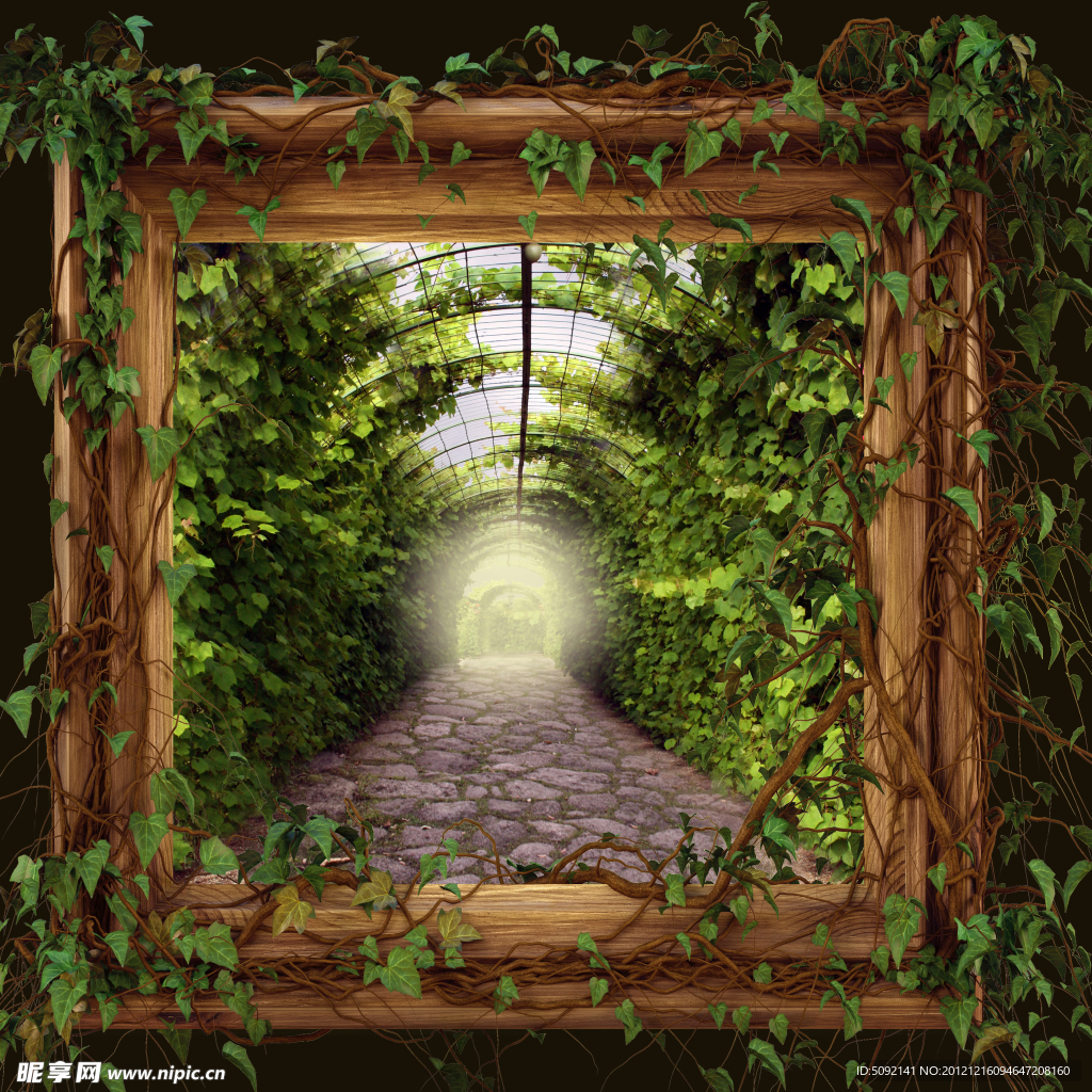 藤蔓缠绕的相框