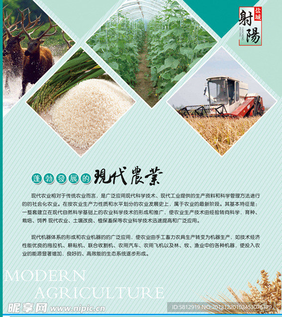 现代农业