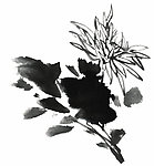 PSD分层素材透明背景中国画水墨植物