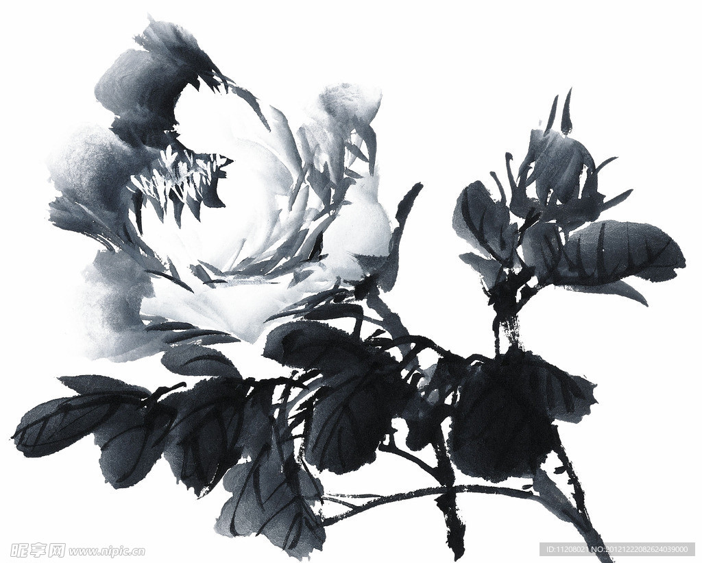 PSD分层素材透明背景中国画水墨植物