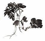 PSD分层素材透明背景中国画水墨植物