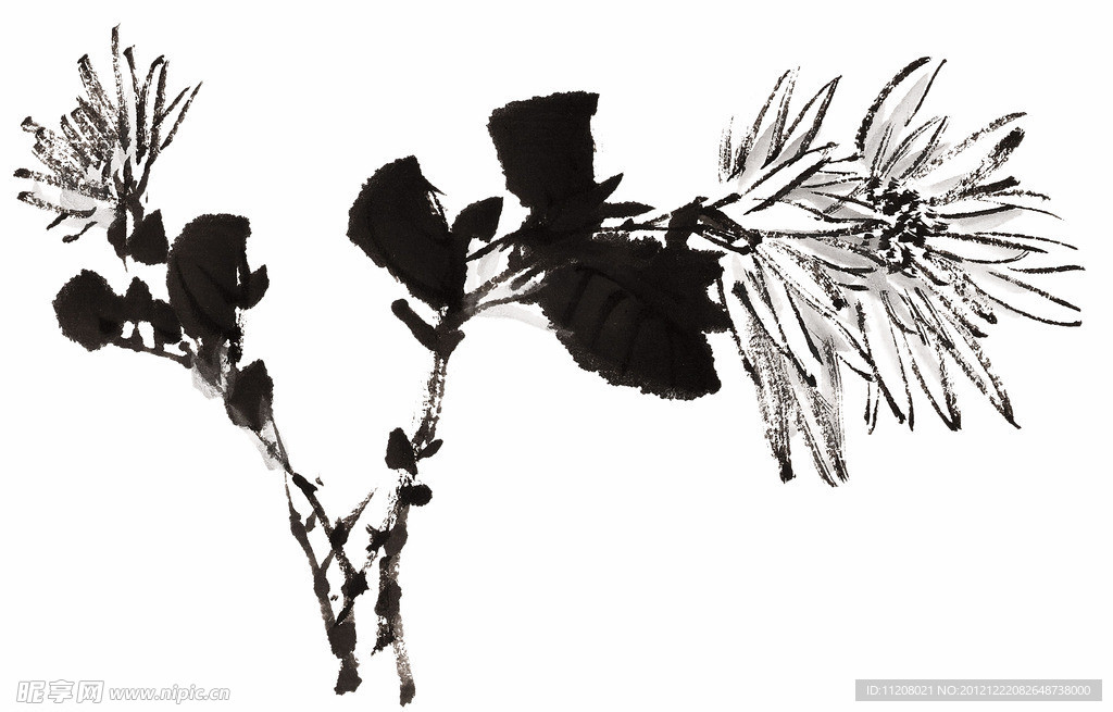 PSD分层素材透明背景中国画水墨植物