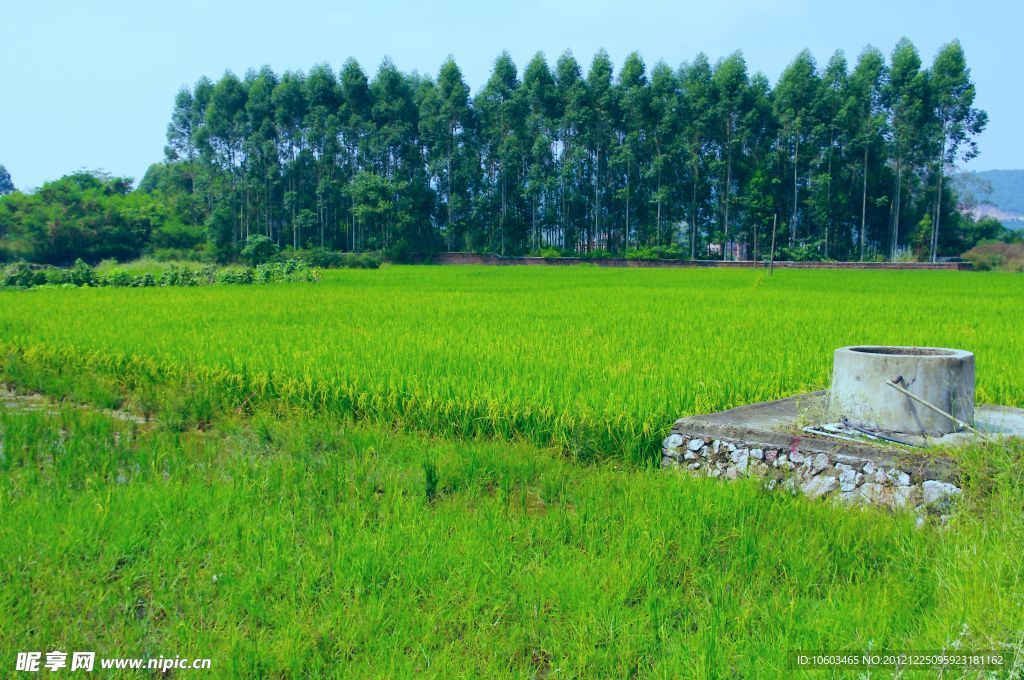 乡村风景 田园风光