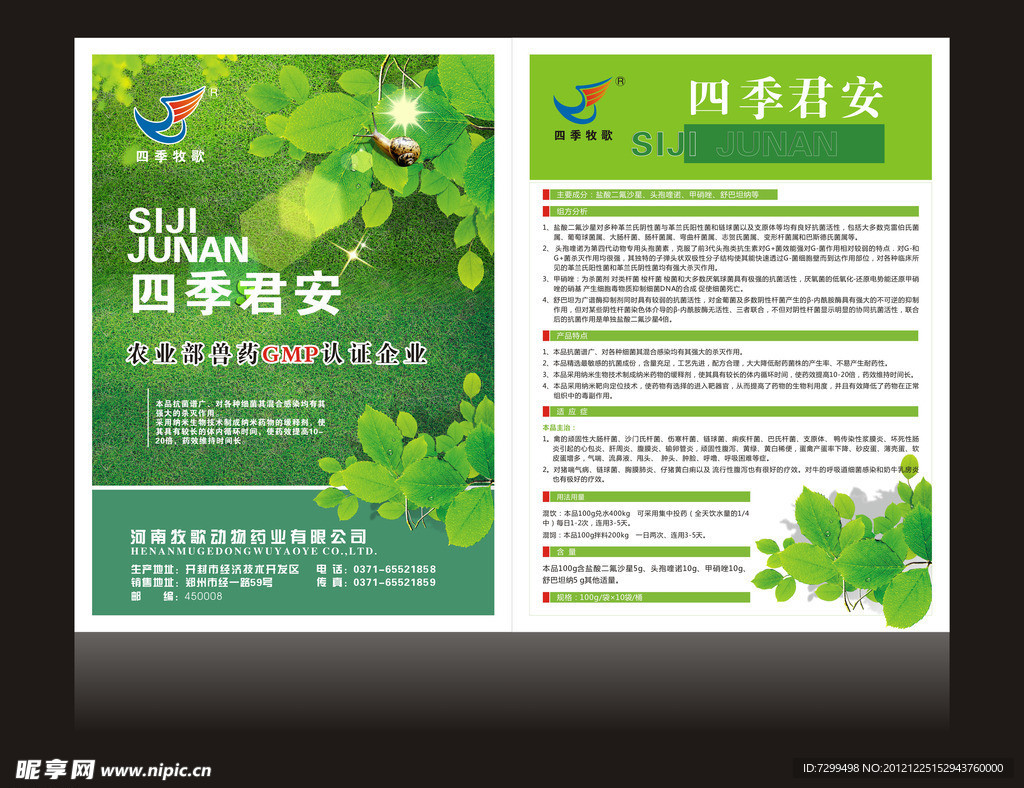 大气简洁 单页海报设计