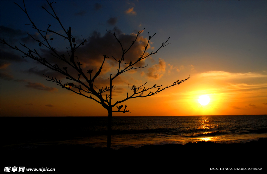 海岸落日晚景