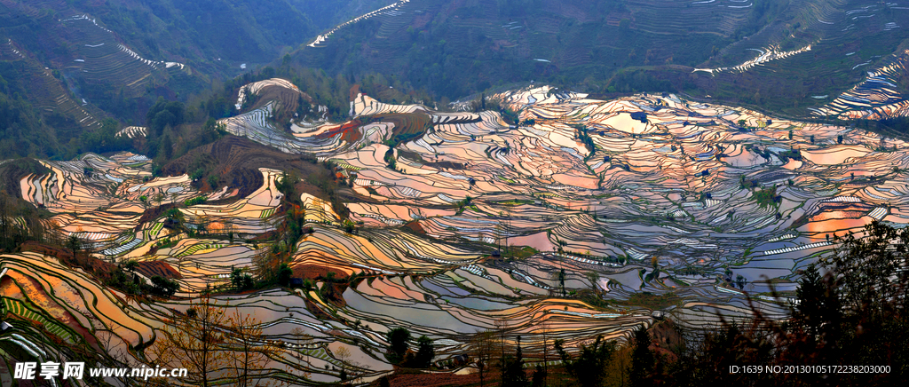 五彩梯田