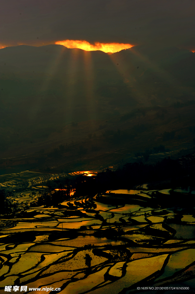 晚霞中的梯田