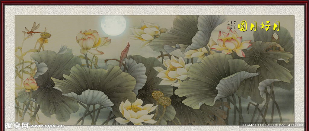 花好月圆 荷塘月色 荷花