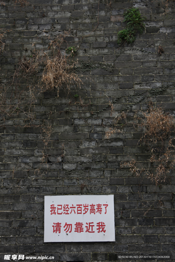 六百岁的古城墙