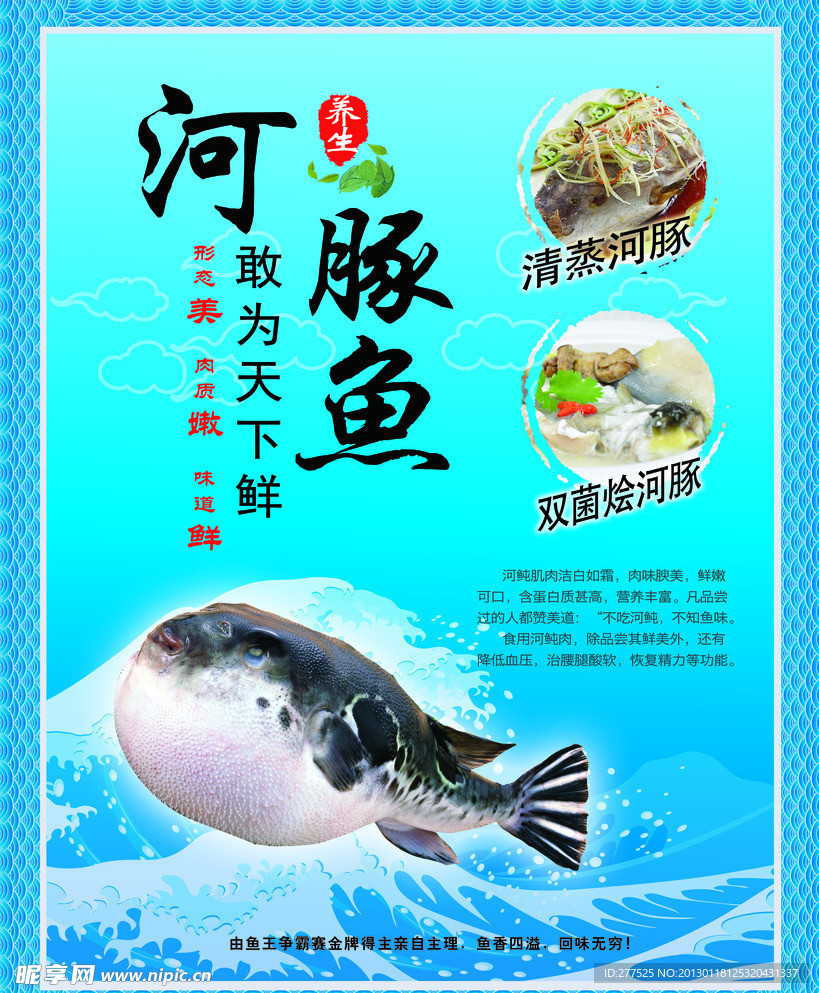 河豚鱼海报
