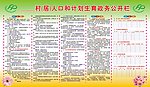 计生服务村级公开