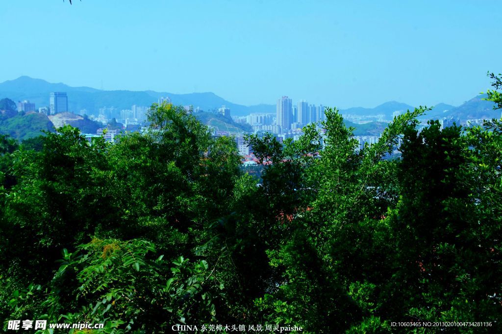 麒麟山水 远射樟木头