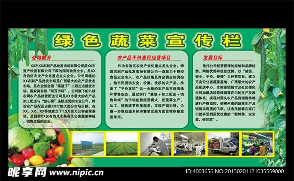 绿色蔬菜宣传栏 展板