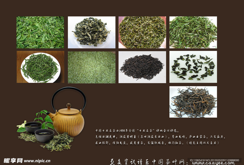 茶叶海报背面