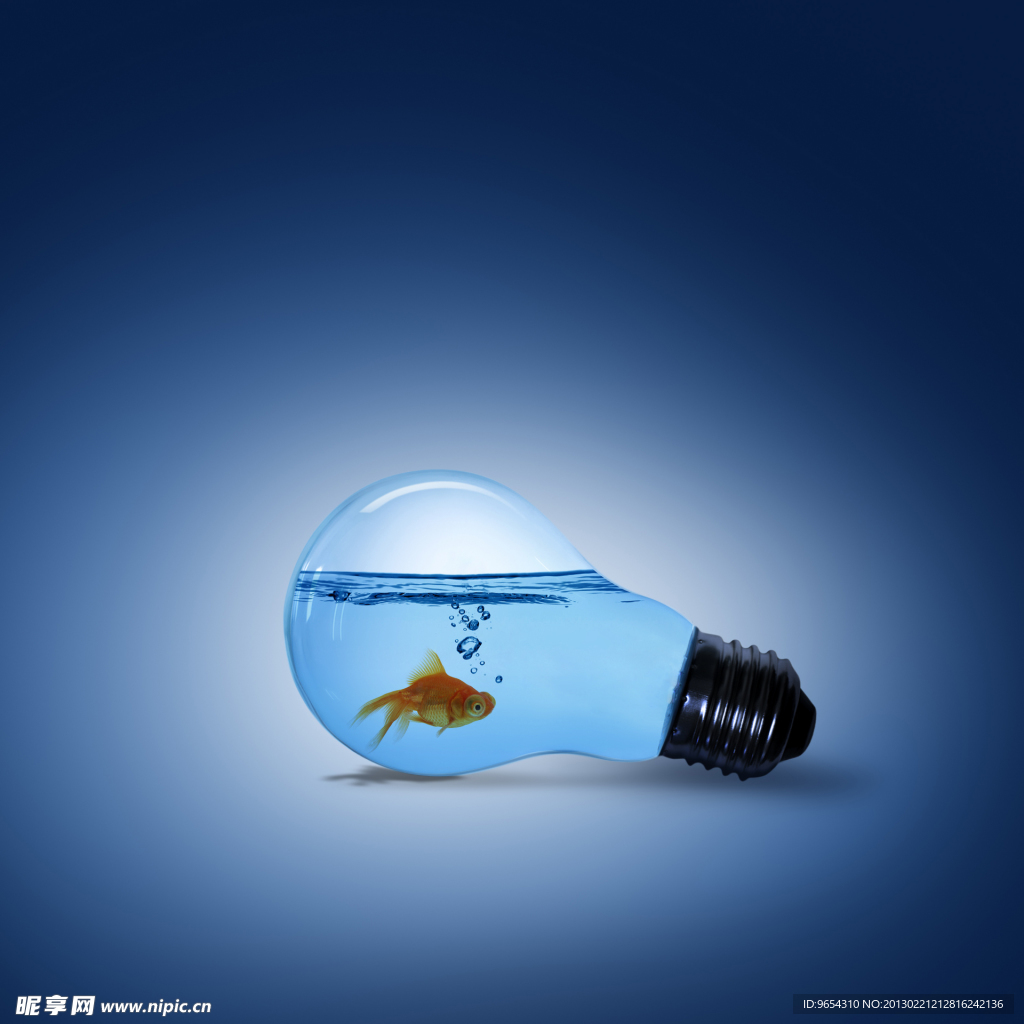 灯泡里的金鱼