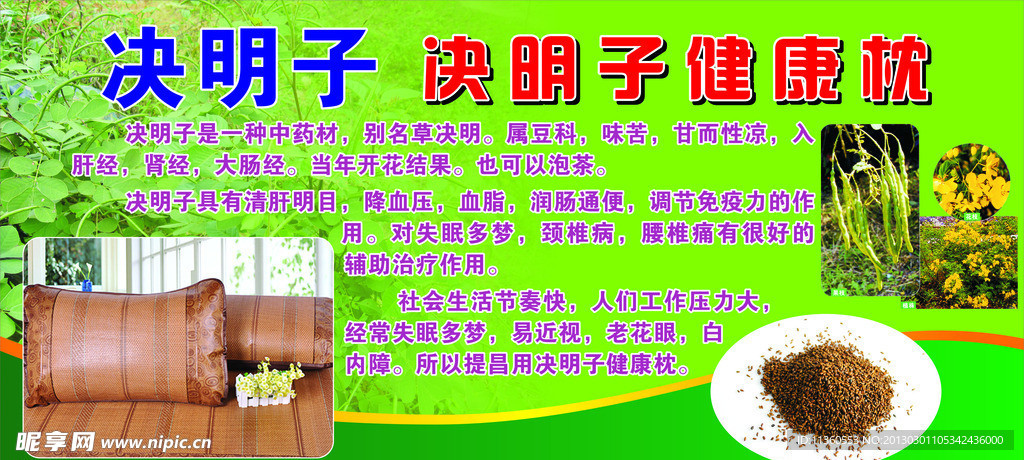 决明子健康枕
