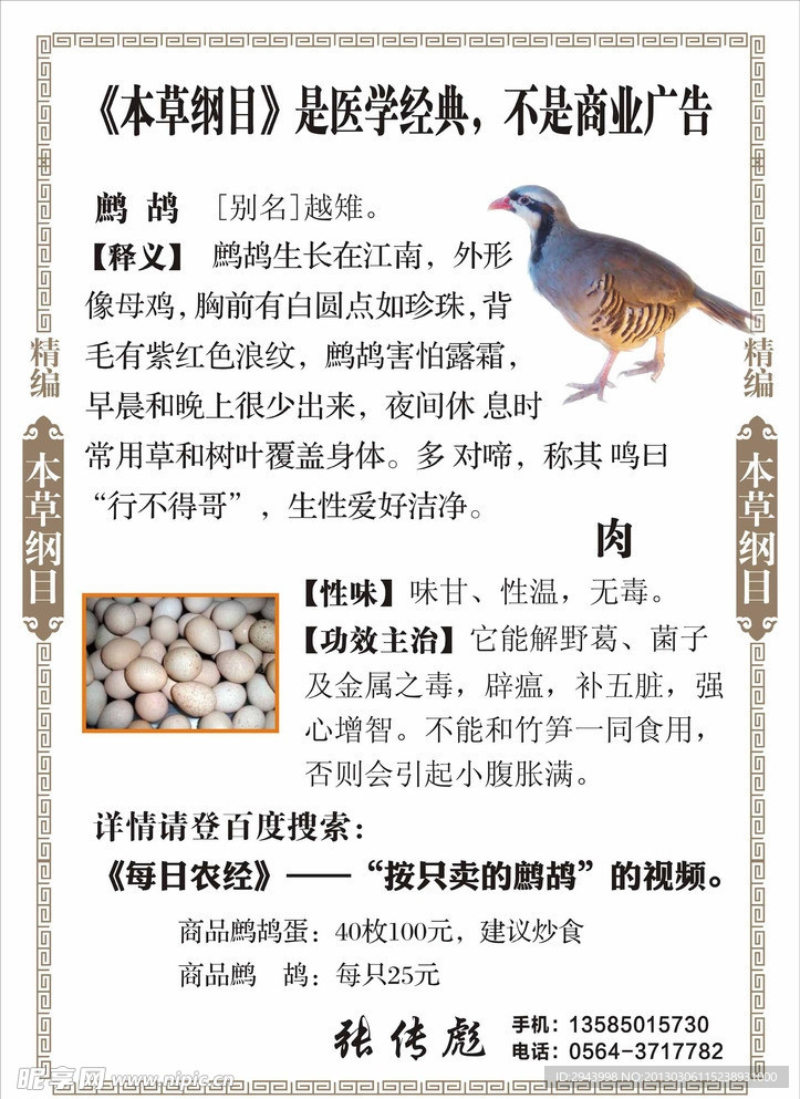 鹧鸪 鹧鸪海报 鹧鸪展板