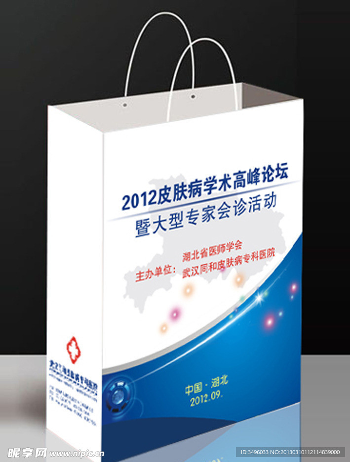 手提袋 纸袋 会议资料袋 (注平面图)