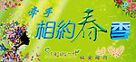 相约春季