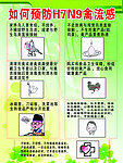 预防禽流感H7N9展板