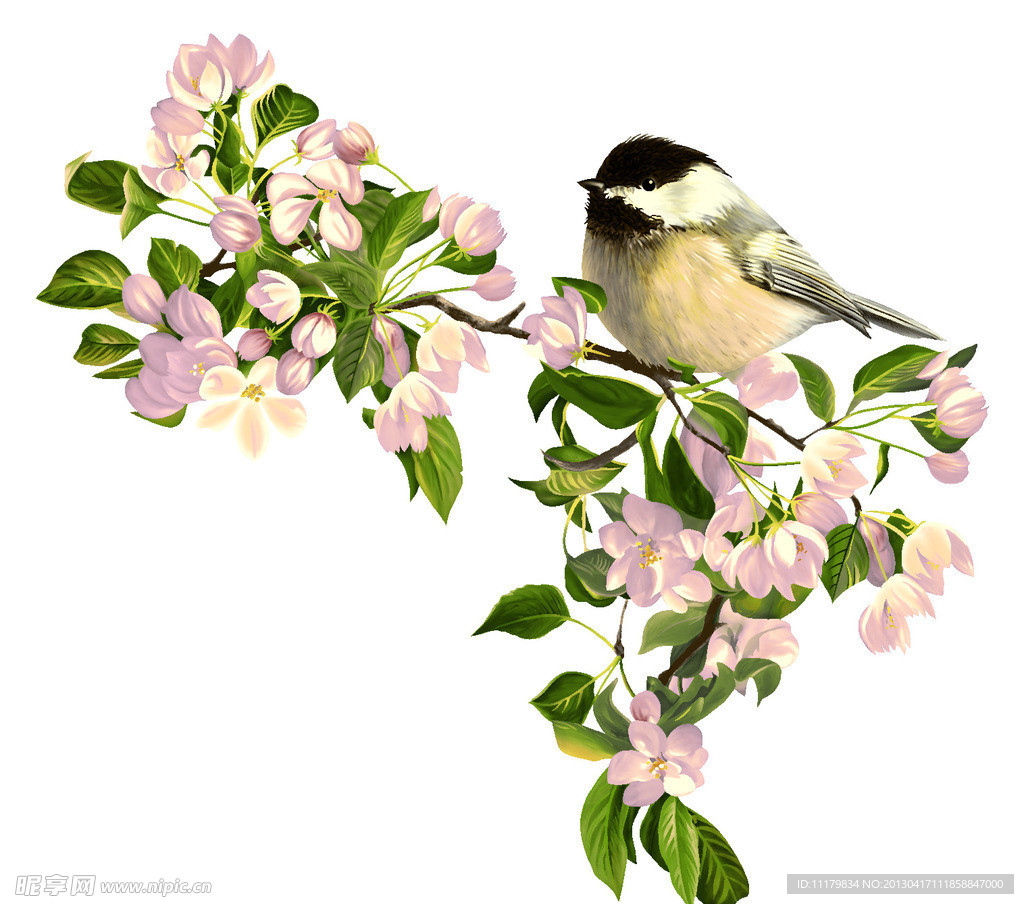 鲜花 别致 高贵