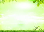 绿色背景