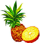 菠萝矢量图