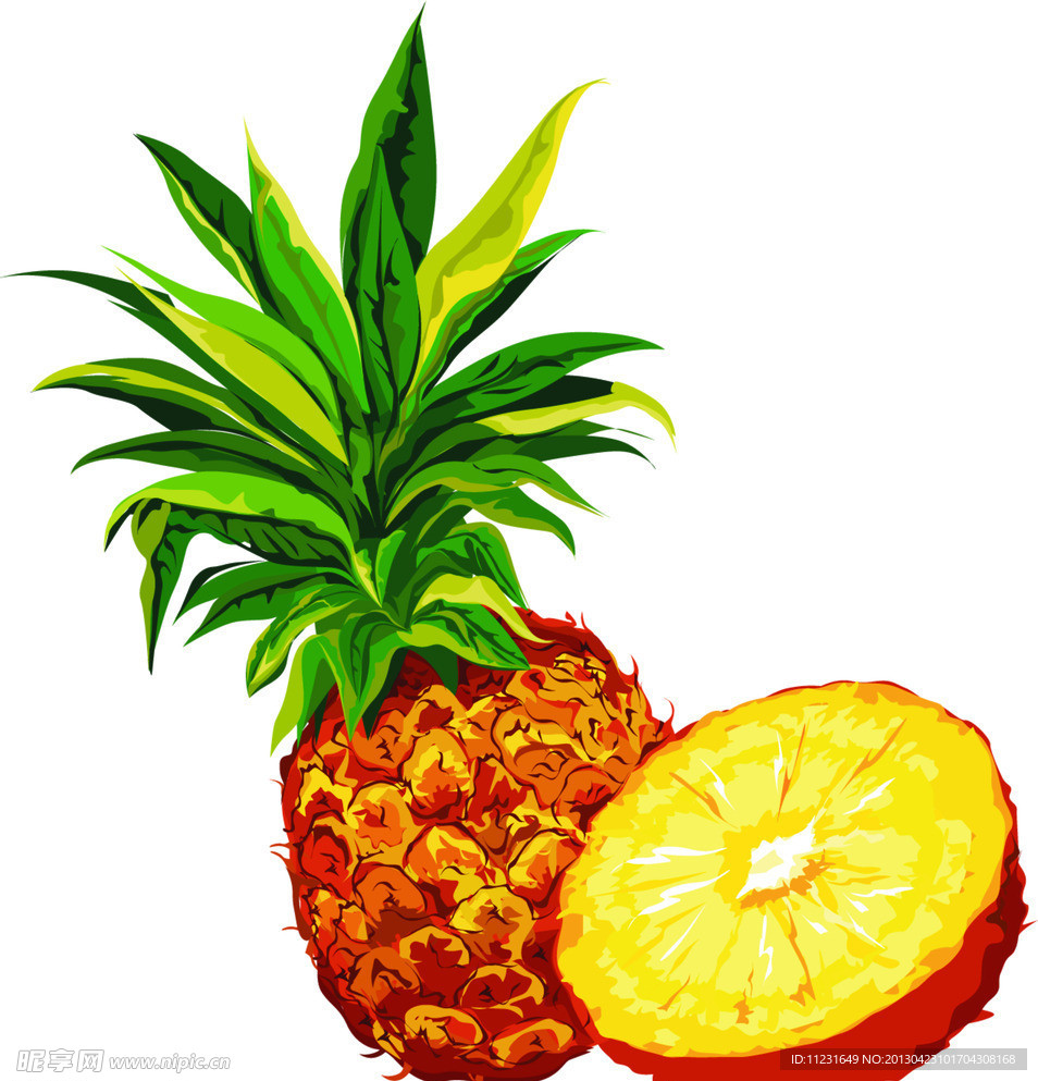 菠萝矢量图