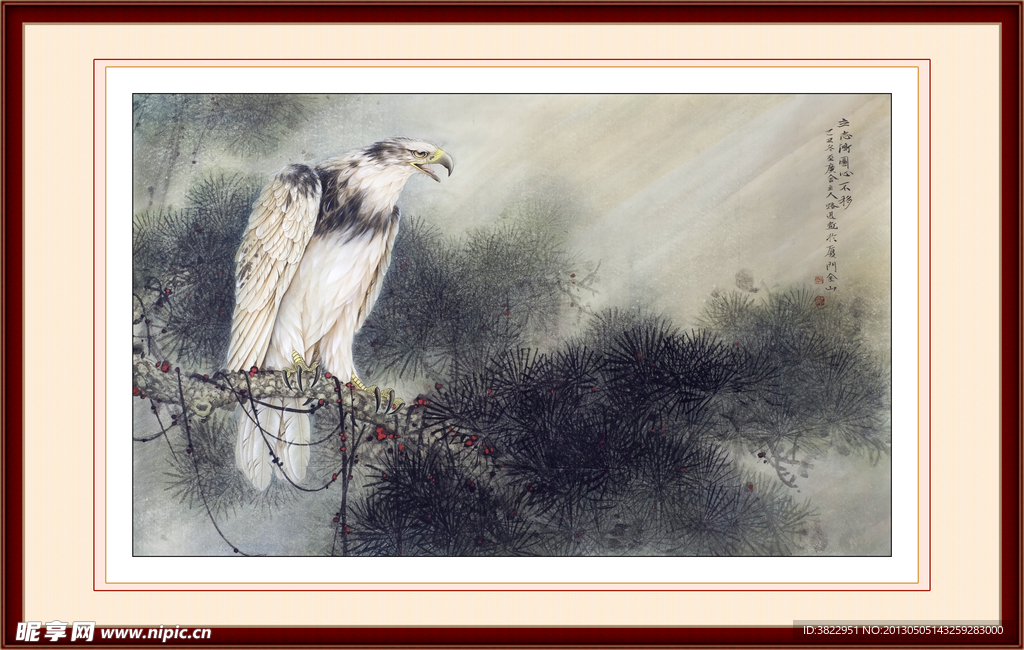 老鹰 工笔画