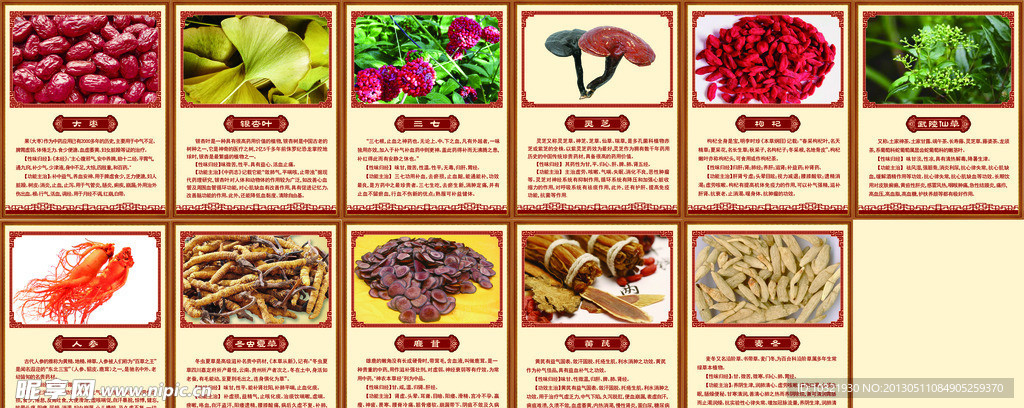 中医中药养生性味归经