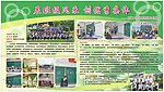 学校墙报展板