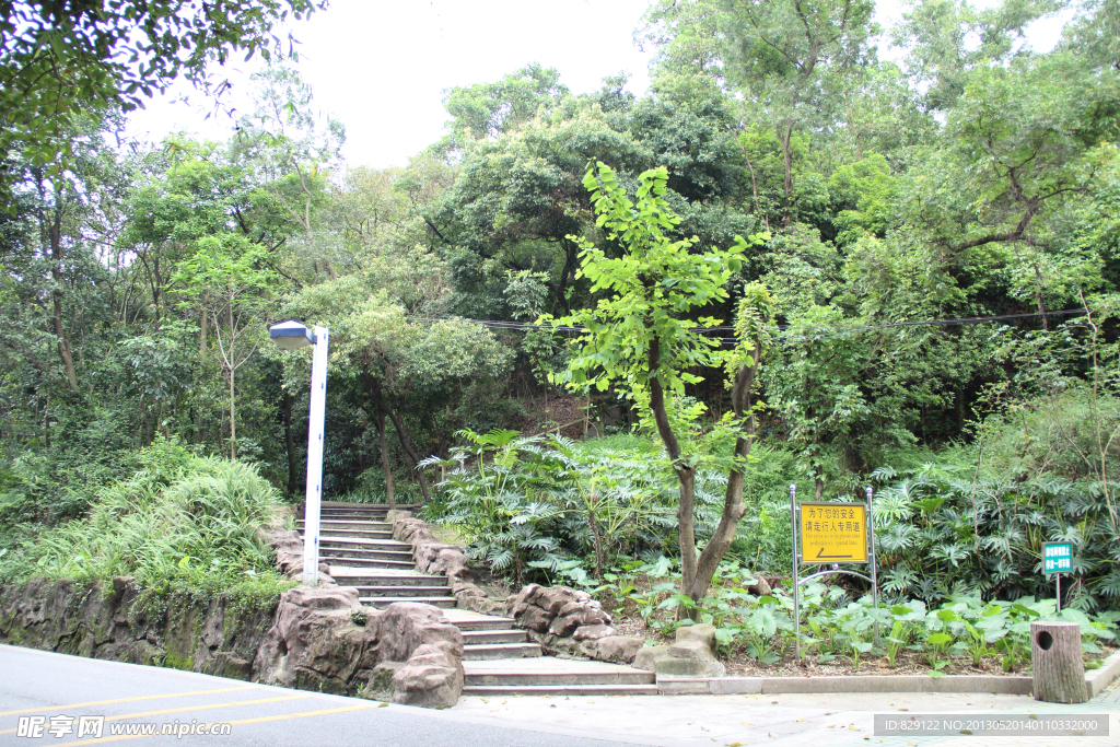 白水带公园一角