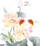 荷花 红鲤鱼 水墨画