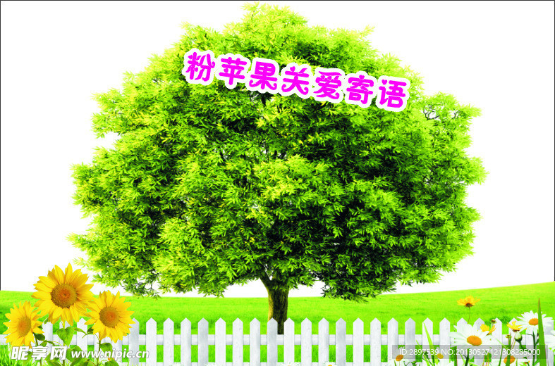 春姿绽放苹果树