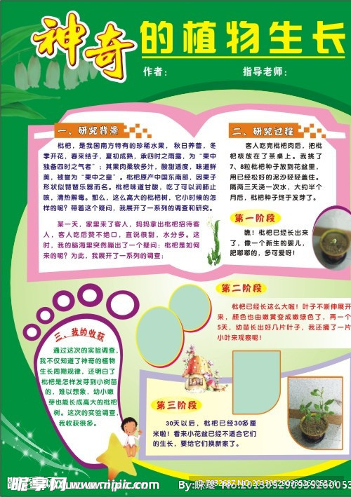 神奇的植物生长