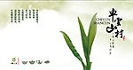 绿茶 灯片海报