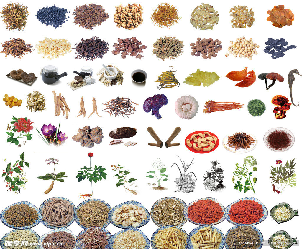 中药素材集