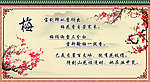 梅花