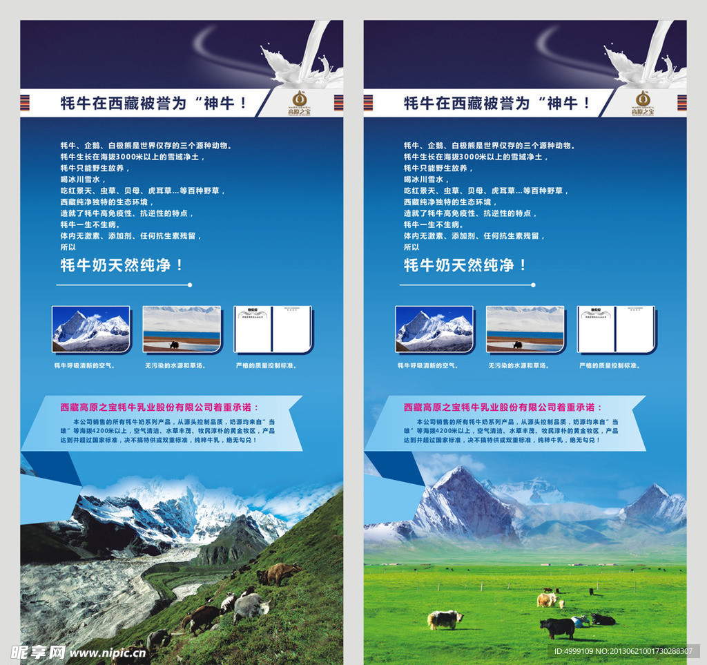 牛奶宣传海报 X展架 系列