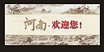 河南欢迎您